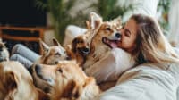 stock.ai Joyful fit woman having fun with adorable mongrel dogs feea d fe a cccfbc stock.ai Joyful fit woman having fun with adorable mongrel dogs feea d fe a cccfbc